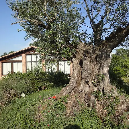 Bed & Breakfast Chambres D'hotes Domaine De Combe Ramond *